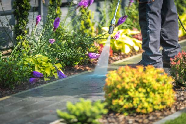 Best Driveway Pressure Washing  in Warsaw, IL