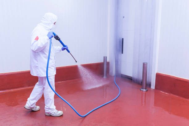 Best Pre-Holiday Cleaning  in Warsaw, IL